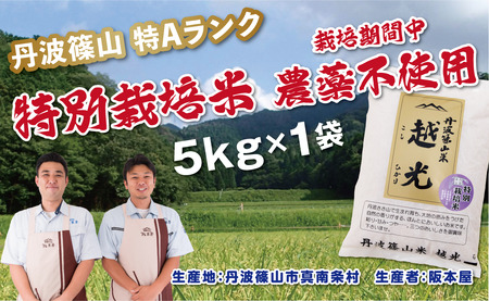 コシヒカリ【新米】農薬不使用 越光 5kg コシヒカリ