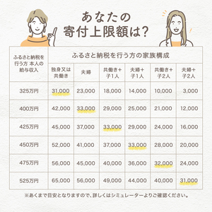 [ オールチョッパー ] 掃除ブラシ・レシピ付き フードプロセッサー みじん切り アサヒ軽金属