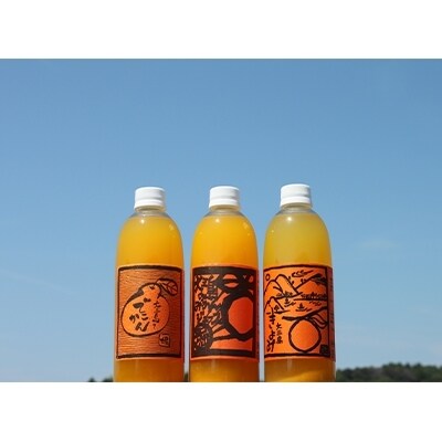 ホリ田ヤの飲みくらべ 島みかんジュース 3種類500ml×6本セット【VB01220】【1117736】