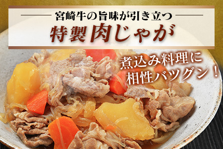 宮崎牛 赤身 モモ ウデ 切り落とし セット 計800g 肉 牛 牛肉 黒毛和牛 国産 食品 おかず 送料無料_CC16-20