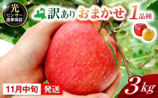 【2026年11月中旬発送】おまかせ 訳ありりんご 約 3kg 青森 |選べる配送時期|  りんご 青森 五所川原