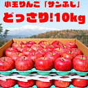 【ふるさと納税】りんご「サンふじ」10kg（40～50玉）秀品 小玉サイズ 【2025年1月上旬頃～下旬頃発送予定】 ／ お取り寄せ ご当地 特産 果物 フルーツ くだもの リンゴ 林檎 季節 冬 食後 デザート 2024年産 令和6年産 東北 山形県 10キロ