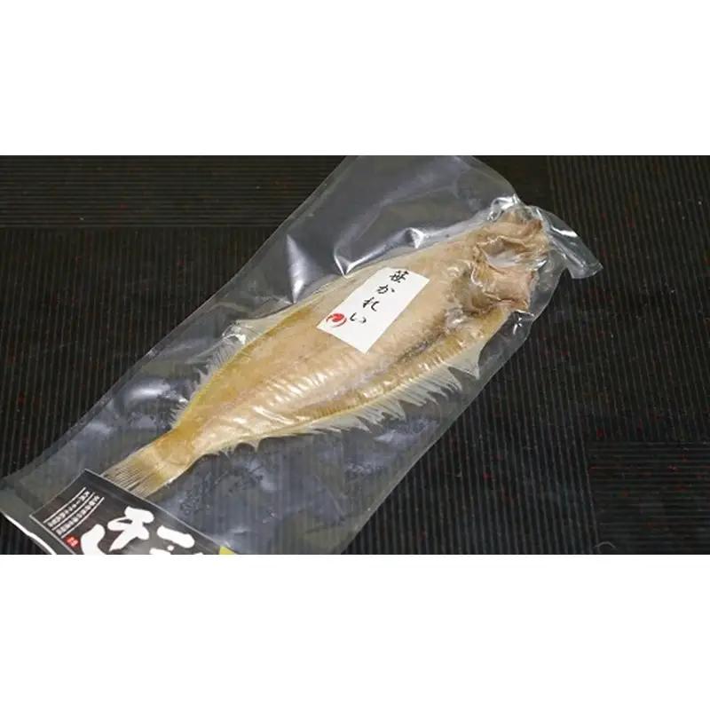 【カレイの王様】笹かれい一夜干し（ササカレイ、ヤナギムシカレイ）大サイズ 5尾セット＜身は繊細・上質の脂と香りが特徴の笹カレイの一夜干し 干物＞急速冷凍・真空パッケージ
