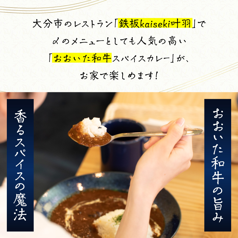 おおいた和牛 スパイスカレー 3袋