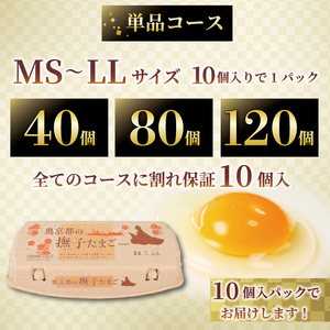 【2024年8月中旬以降発送】【2回定期便】京都 丹波 こだわり ピンク卵 40個×2ヶ月(割れ保証10個) MS～LLサイズ (卵 たまご 玉子 生卵 鶏卵 卵かけご飯 贈呈用  濃い セット 玉子