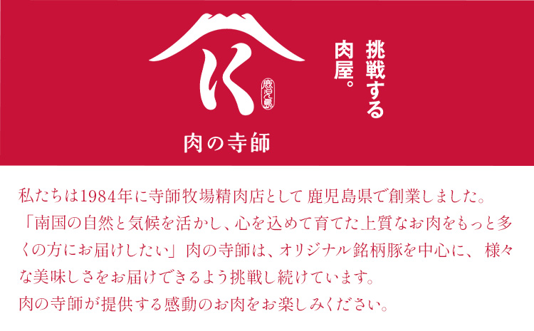 【隔月定期便3回】鹿児島 うんまか 豚ミンチ 計3kg (500g×6P) 株式会社寺師《お申し込みの翌月から出荷》鹿児島県 さつま町 豚肉 ミンチ 肉---stm-trs-20-ev2mo3---