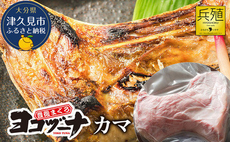 豊後まぐろ ヨコヅーナ カマ 鮪 |津久見市 まぐろ カマ 鮪