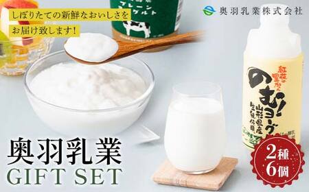 【奥羽乳業】贈答用 奥羽乳業ギフト 2種6個セット(のむヨーグルト2本・プレーンヨーグルト4個) 山形県産生乳使用！ F2Y-6542