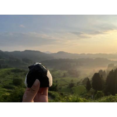 ふるさと納税 十日町市 「まつだい棚田バンク」 標準コース (150平方メートル) |  | 02