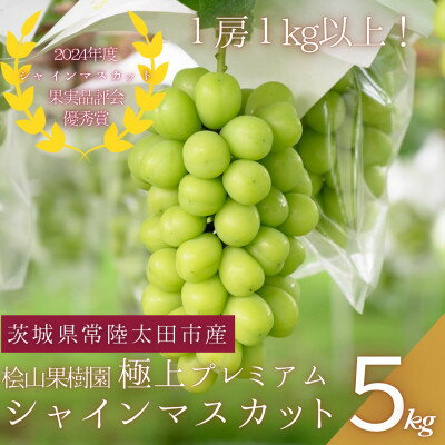 【ふるさと納税】【数量限定!】桧山果樹園のプレミアムシャインマスカット　5房(約5kg以上)【配送不可地域：離島・沖縄県】【1645137】