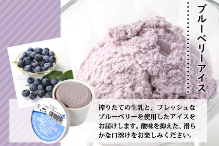 香料・着色料不使用！３種の食べ比べセット９個 (信州りんごアイス・いちごアイス・ブルーベリーアイス）100ml りんご いちご スイーツ アイスクリーム アイス アソート 詰め合わせ アイスミルク 牛