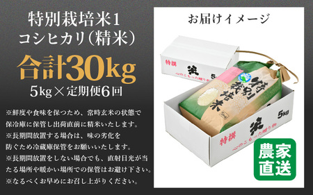【先行予約】【令和8年産 新米】定期便《6ヶ月連続お届け》コシヒカリ 精米 5kg × 6回（計30kg）特別栽培米 農薬不使用 化学肥料不使用 ／ 残留農薬ゼロ 高品質 鮮度抜群 福井県産 ブランド
