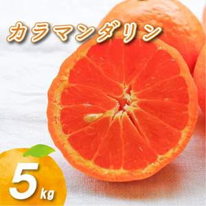 【2027年4月下旬頃から順次発送】カラマンダリン 5kg | 数量選択可 みかん ミカン 蜜柑 柑橘 数量限定 愛媛県産 松山市 中島 低農薬 愛媛 ふるさと納税【NO0372】