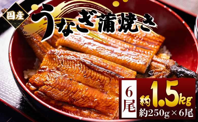 国産蒲焼きうなぎ ２５０ｇ ６尾 計１５００ｇ fb-0171