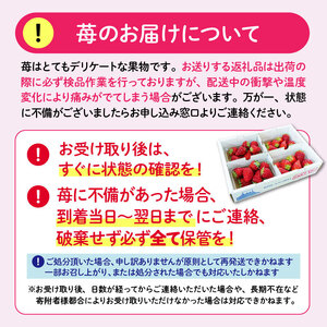 2027年4月より順次発送予定 いちご 2kg 以上 いちご