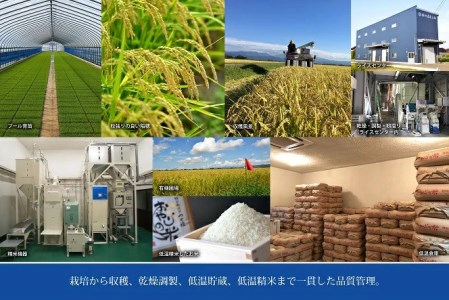 【令和7年産】おやじの米 JAS有機栽培米 つや姫 白米 5kg　山形県鶴岡産　鈴木農産企画