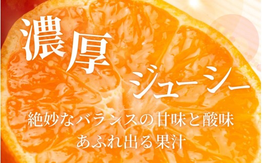 【2026年10月発送予約分】みかん 【家庭用】こだわりの有田みかん 約4kg＋250g(傷み補償分) ※サイズ混合※北海道・沖縄・離島配送不可 ＼光センサー選別／ 【農家直送】 有機質肥料100% 