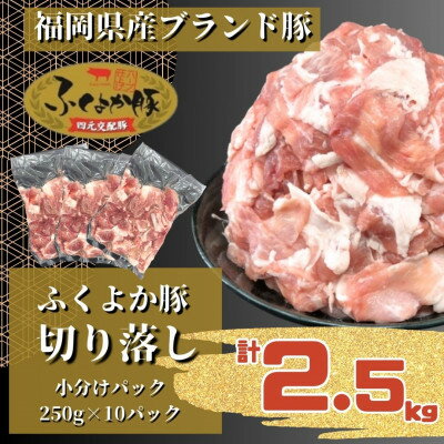 【ふるさと納税】ふくよか豚切り落し2.5kg(250g×10パック)_モモ ウデ モモ肉 ウデ肉 小分け 真空パック ブタ肉 ぶた肉 生姜焼き 焼きそば 豚汁 冷凍 福岡県 福岡 九州 グルメ お取り寄せ【配送不可地域：離島】【1566229】