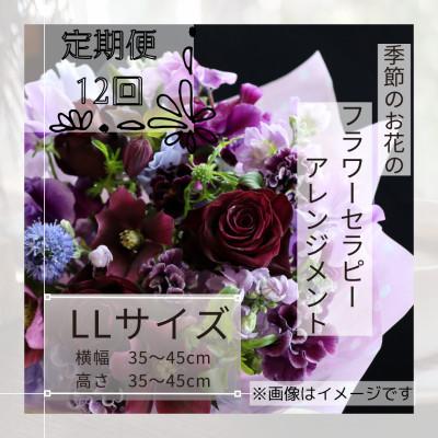 ふるさと納税 筑西市 【毎月定期便】癒しのフラワーセラピーアレンジメント/LLサイズ全12回