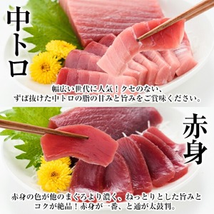 【定期便12回（毎月）】南マグロ大トロ、中トロ、赤身を1年間毎月お届け。1回分の内容量は南マグロの合計８本（１本あたり、200～230g） (大トロ×１、上トロ×２、中トロ×２、赤身×３)。幻のマグロ