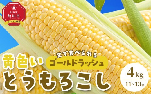 
                  【2027年先行予約】【旭川近郊産】黄色いとうもろこし（ゴールドラッシュ）3.5kg or 4kg（8月上旬から発送開始予定）【 人気 北海道産 糖度 生 野菜 スイートコーン 産地直送 バーベキュー BBQ コーン 旬 お取り寄せ 旭川市 北海道 】
                