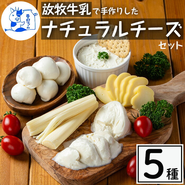 【ふるさと納税】≪発送時期が選べる≫放牧牛乳の手作りチーズセット(5種) 国産 鹿児島県産 湧水町産 乳製品 ちーず 生チーズ モッツァレラチーズ ボッコンチーニ クリームチーズ ストリングチーズ スカモルツァ 調味料 おつまみ【西ノ村ファーム】