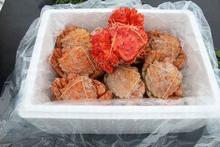【北海道根室産】クリガニ12～14尾(計2.5kg前後)、花咲ガニ1尾 A-57044