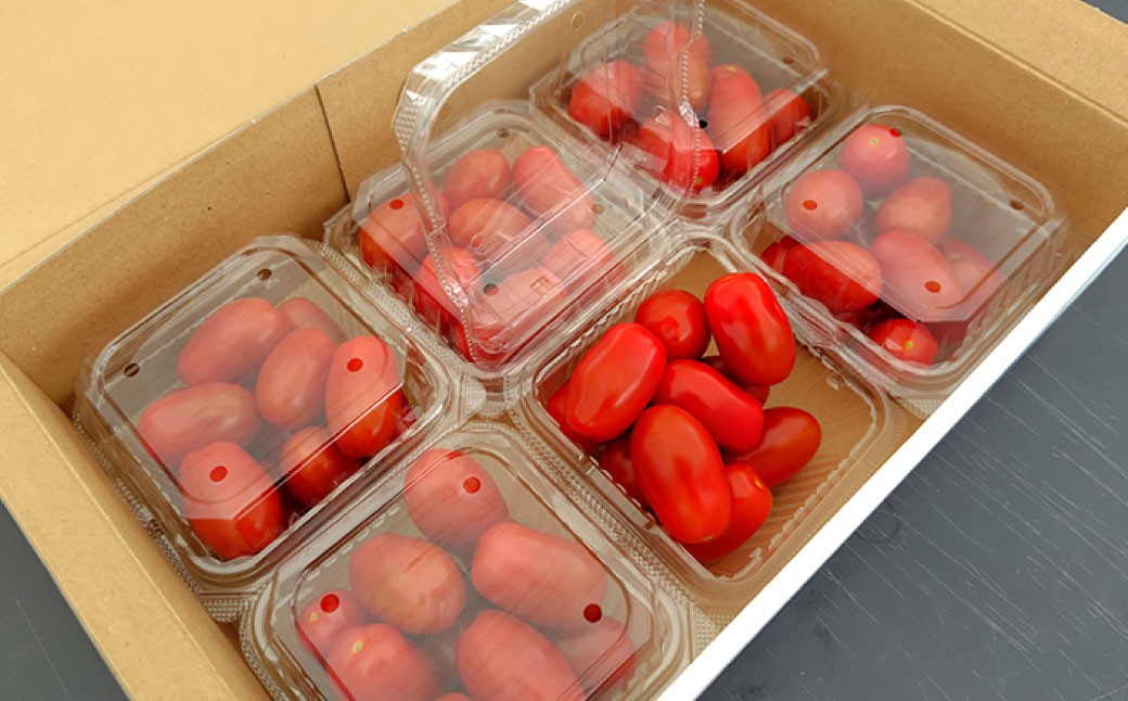 ミニトマト 「 北海道ルビー 」 約1kg （ 6パック ）