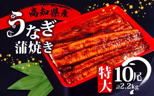 
                  国産 うなぎ 蒲焼き 10尾 ( 1尾 約220g ) 尾頭付き 土用の丑の日 高知県産 蒲焼 特上 鰻 ひつまぶし うな丼 うな重 お歳暮 ギフト 冷凍 養殖 ふるさと納税うなぎ 高知県 須崎市 秘伝タレ付き 真空パック 惣菜 人気 ランキング おすすめ 母の日 父の日 ME0092
                
