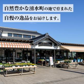 C09 鹿児島県産ひのひかり 棚田米10kgセット(5kg×2袋)【くりの物産館】