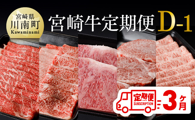 
            【定期便】宮崎牛３ヶ月定期便Ｄ‐１(ヒレステーキ/ウデスライス/ロースステーキ/肩ローススライス/モモスライス/ウデ焼肉/肩ロース焼肉/モモステーキ)【 国産 九州産 肉 牛 宮崎県産 牛肉 黒毛和牛 ミヤチク 全3回 】
          