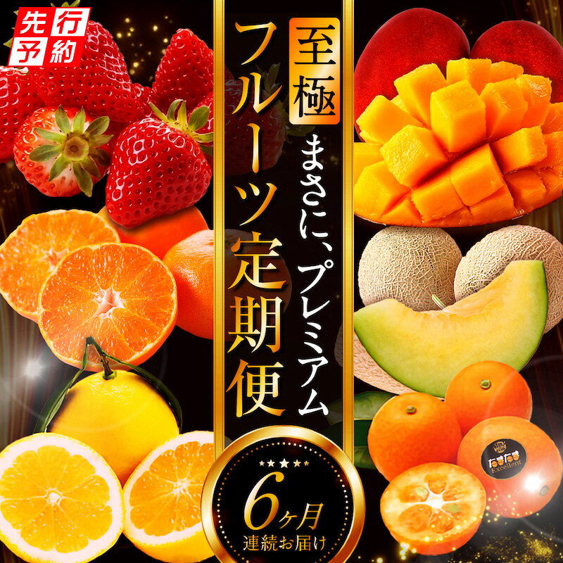 【ふるさと納税】《2026年発送先行予約》【数量・期間限定】贈答用にもオススメ!バイヤー厳選!「至極フルーツ定期便」(全6回) 果物 フルーツ 定期便 フルーツ 詰め合わせ セット 旬のフルーツ 旬 季節のフルーツ きんかん いちご せとか 日向夏 マンゴー メロン 宮崎市