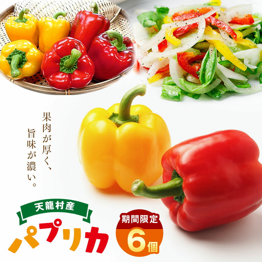 【ふるさと納税】【期間限定☆】果肉が厚く旨味が濃い 天龍産パプリカ6個セット｜野菜 野菜類 パプリカ ぱぷりか 夏野菜 カラフル セット 長野県 天龍村