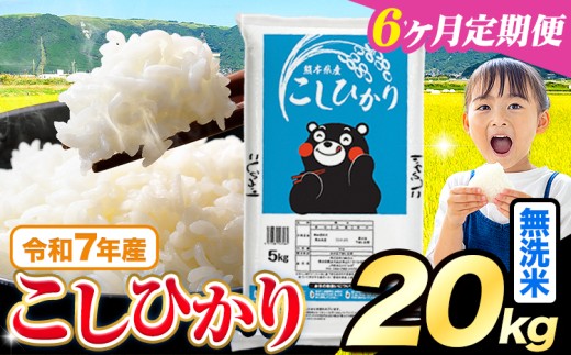 【6ヶ月定期便】令和7年産  無洗米 こしひかり 20kg(5kg×4袋)《お申込みの翌月出荷》熊本県産 ふるさと納税 無洗米 精米 ひの 米 こめ ふるさとのうぜい コシヒカリ コメ お米 おこめ