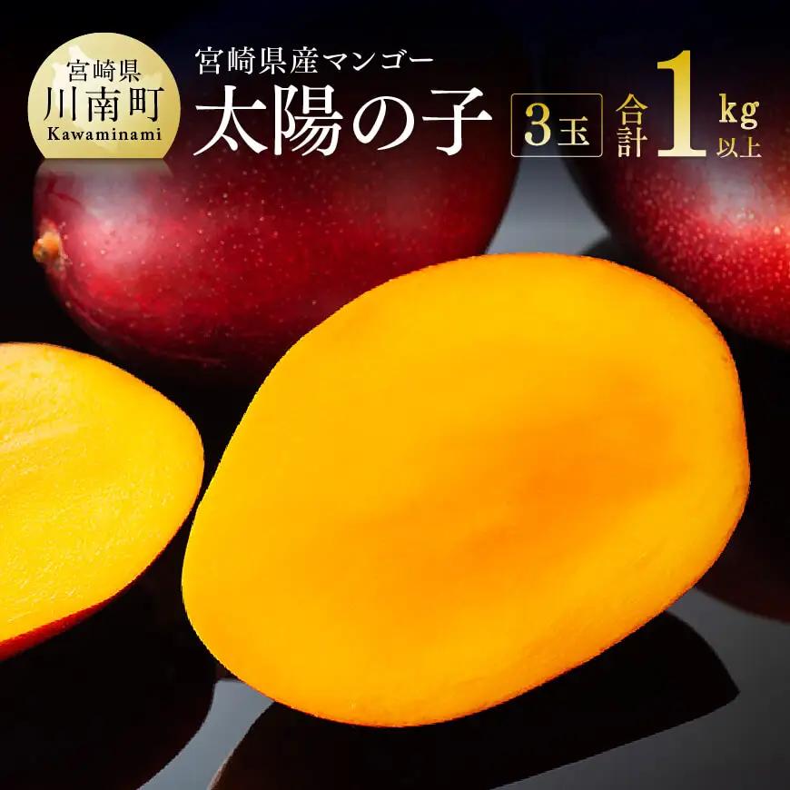 【令和8年発送】宮崎マンゴー 太陽の子３玉（1kg以上） フルーツ マンゴー