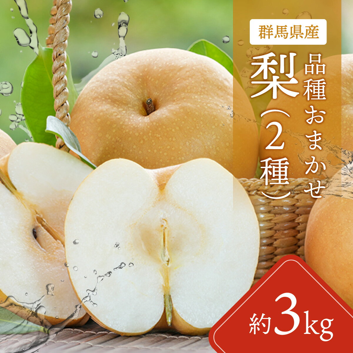 【ふるさと納税】【先行予約】【品種おまかせ】群馬県産「梨」(2種類)約3kg【9月中旬～9月下旬発送予定(9/20～26除く)】【 ふるさと納税 人気 おすすめ ランキングなし 梨 ギフト 贈り物 群馬県 安中市 送料無料 】ANAH003