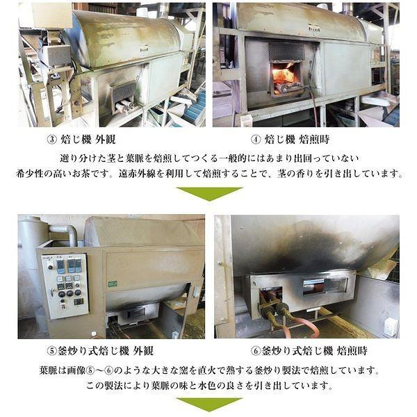 博多棒茶6袋セット