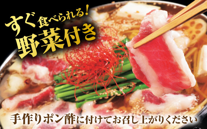 “お鍋さえあればすぐに食べれる”コラーゲンたっぷり女性的、美肌醤油スープ「姫さま鍋」(白濁あっさり醤油味2～3人前)【合同会社Yesフーズ】 [ZFH002]