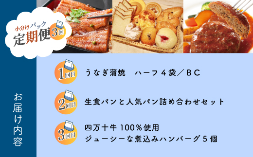 【 3回 お届け 】 便利 でうれしい！ 小分け 定期便 毎月届く 小分けパック ストック 保存食 冷凍 冷凍食品 惣菜 おかず パン 冷凍パン 生食パン うなぎ ウナギ 鰻 ハンバーグ お弁当 弁当