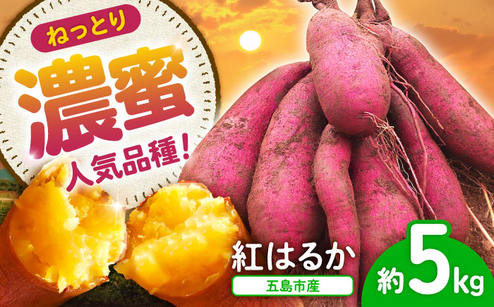 【10月先行予約】島の元気なさつまいも!ねっとり甘い『紅はるか』5kg 五島市/あわたに農園 [PGO002]