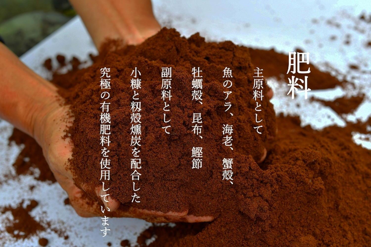 【年間定期便令和8年産新米予約】南魚沼食味コンクール4年連続優秀賞　8割減農薬特別栽培米5kg×12回　南魚沼塩沢産コシヒカリ【2026年9月中旬から1ヶ月以内に順次発送予定】