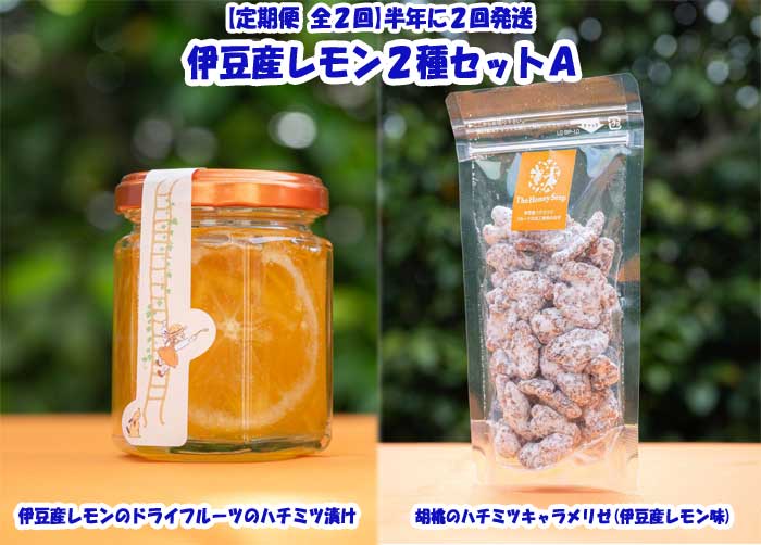 G2*【ふるさと納税】【定期便 全2回】伊豆産レモン2種セットA(伊豆産レモンのドライフルーツのハチミツ漬け＆胡桃のハチミツキャラメリゼ(伊豆産レモン味) 半年に2回発送