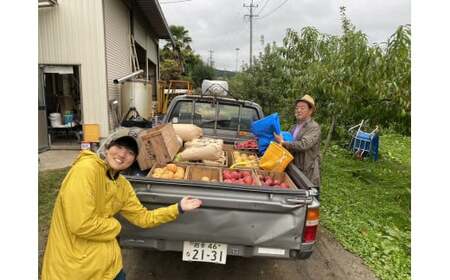 【2025年11月発送】 おまかせ フルーツ詰合せ 約 5kg (目安：4～5種程度) 【 梨 りんご 洋ナシ ゆず 旬 果物 食べ比べ 詰め合わせ 大和農園 】RT2511
