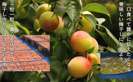 紀州南高梅　蜂蜜つぶれ梅　塩分5％　1kg（500g×２)