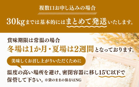 森のくまさん 無洗米 5kg【有限会社  農産ベストパートナー】[ZBP095]