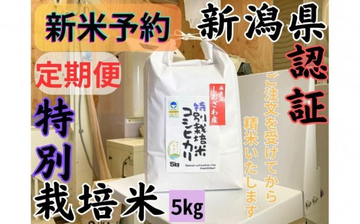 
                  【令和8年産・新米予約・定期便】安心安全の新潟県南魚沼産特別栽培米コシヒカリ　5kg×３か月　新潟県認証【定期便 銘柄米 ブランド米 精米 こしひかり コシヒカリ】【2026年10月上旬より1ヶ月以内に順次発送予定】
                