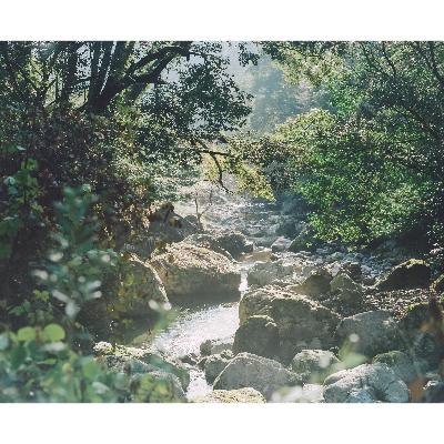 ふるさと納税 五木村 熊本県五木村産　鹿モモ肉700g |  | 03