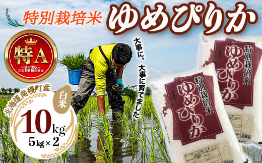 
特別栽培米 ゆめぴりか（白米）5kg×2袋 令和6年産 2024年10月発送開始 今摺り米 NP1-408
