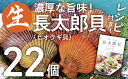 コロナ緊急支援品：ヒオウギ貝（ホタテの仲間）25個入り