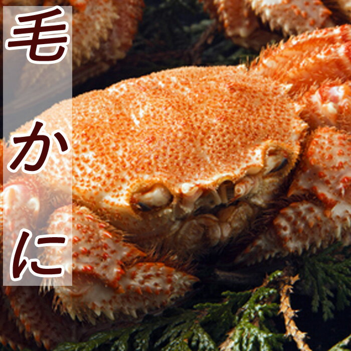 【ふるさと納税】毛かに400g前後〜550g前後選べる 1尾 〜 10尾 北海道 根室 カニ かに 蟹 海鮮 海産 海の幸